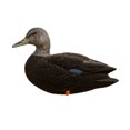 thumbnail image 2 of Avian X AXF Flocked Full Body Black Ducks Fusion Pack with Rugged Durability, 2 of 10