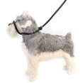 thumbnail image 3 of Dog Dog Leash Prevent Slip Adjustable Heavy Duty Soft Nylon Dog Traction Rope For Small Medium Dogs Puppy, 3 of 8