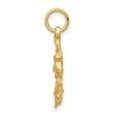 thumbnail image 2 of Finest Gold 10K Yellow Gold Anchor Charm, 2 of 3