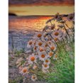 thumbnail image 1 of Pintura de diamante (DE1528) 5D Cuadrado DIY Puesta de sol Flores Imagen de diamantes de imitación 45x60cm Hugtrwg Para estrenar, 1 of 1