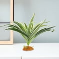 thumbnail image 1 of TABLETREANDS 2Ud Para Terrario De Reptiles Artificial Material Y, 1 of 7
