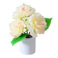 thumbnail image 1 of Luz de maceta de peonía para decoración del hogar, luz decorativa de flor de peonía para fiestas navideñas Hugtrwg Para estrenar, 1 of 1