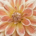 thumbnail image 3 of Saunders, Alonzo 20x20 Black Modern Framed Museum Art Print Titled - Wall Flower V, 3 of 5