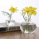 thumbnail image 1 of 2pc Hydroponic Transparent Vase Frame Coffee Shop Room Decor, 1 of 9
