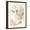 Brown Frame, variant on Art.com Freshly Picked I Art Print by Isabelle Z, 12" x 16"