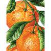 thumbnail image 1 of Cuadros Decorativos Kit de pintura de diamante 5D mosaico de taladro redondo de fruta DIY (B3516) Likrtyny embutido en tela, 1 of 6