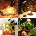 thumbnail image 3 of Lámpara de calefacción para reptiles Methold 50W vidrio metálico, 3 of 6