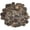 Bronze, variant on 100pcs Pirate Treasure Coins for Everyone Party Favors, Gold Plastic Play Coins, Pirate Theme Birthday Party Supplies,1.38IN