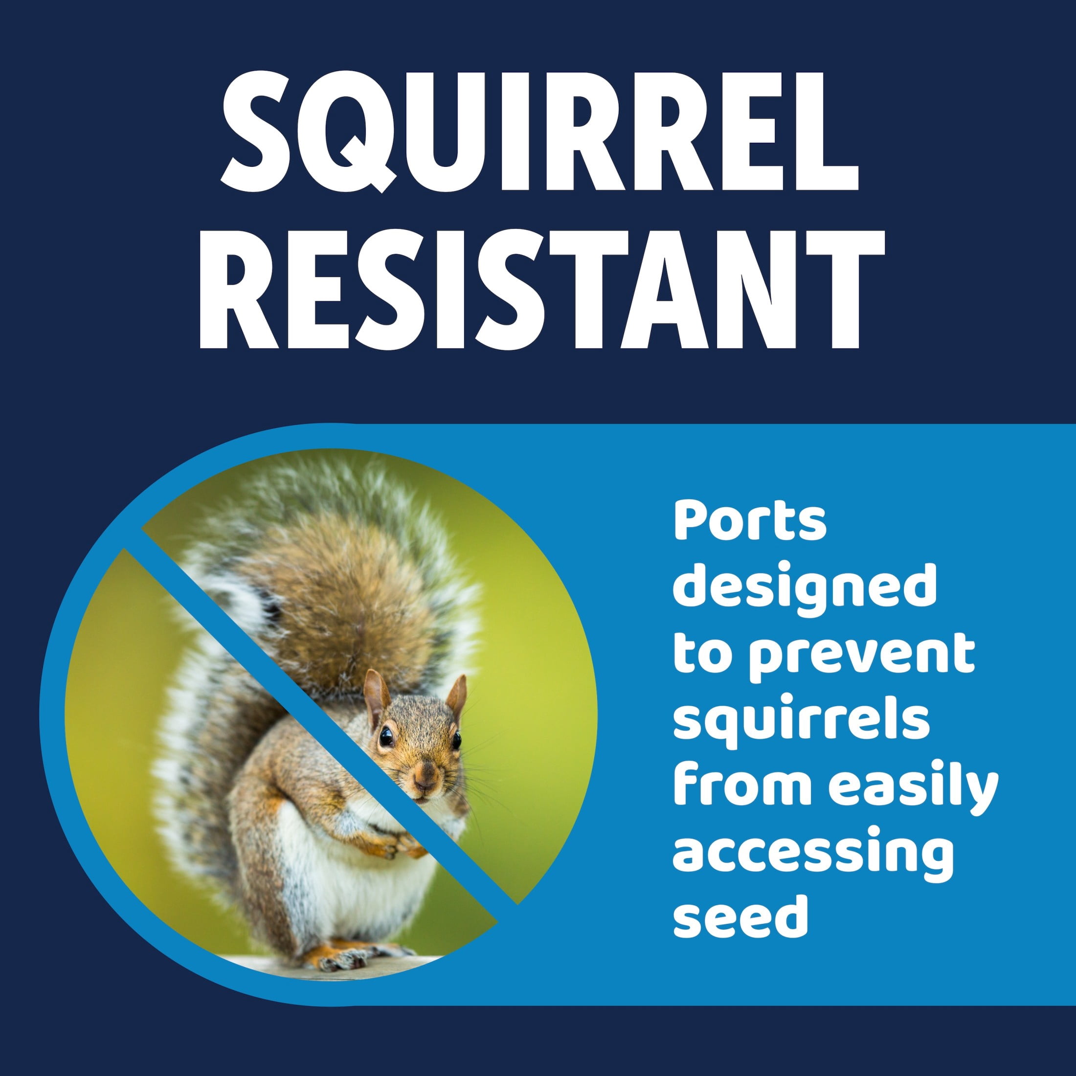 3-D Pro Blends Multi-Port Squirrel Resistant Wild Bird Feeder, 3 lbs Capacity