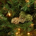 thumbnail image 4 of 7.5 ft. Pre-Lit Artificial Carolina Pine Christmas Tree, Green, Clear Lights, Includes Stand, 4 of 7