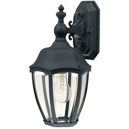 Dolan Designs Roseville 1-Light Outdoor Wall Lantern