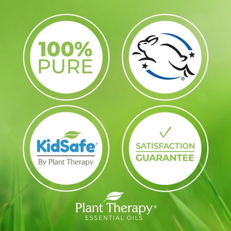 Plant Therapy KidSafe Sniffle Stopper Essential Oil Blend Pre-Diluted Roll-On 10 mL (1/3 oz) Respiratory Support Blend 100% Pure, Natural Aromatherapy, Therapeutic Grade