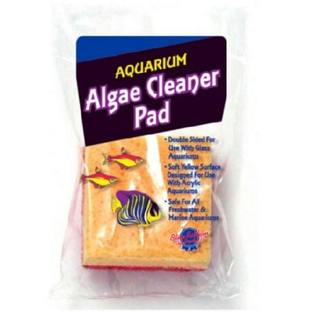 Blue Ribbon Pet Products Double Sided Algae Cleaning