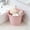 Desk Pen Holder Planter Under $5 a3, variant on BRELIL Iron Pen Holder Bucket, Mini Flower Pot Succulents Planter, Desktop Pencil Cup Organizer for Study Desk Office Home Decor