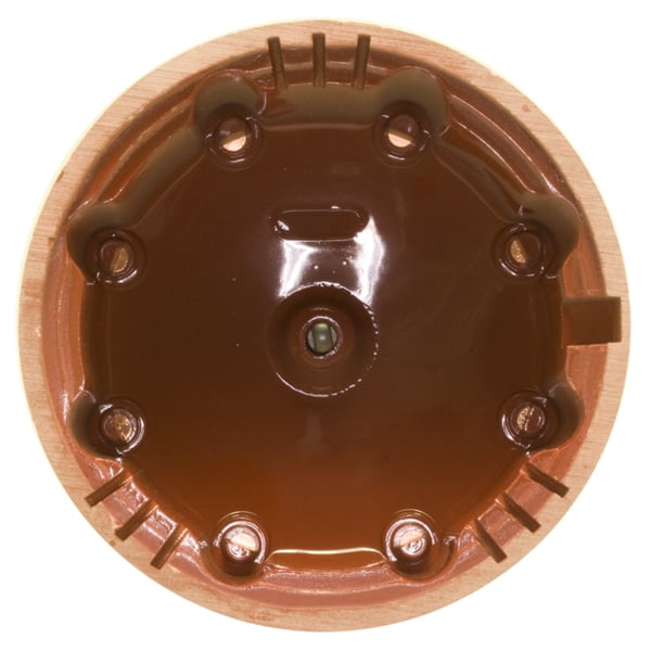 Distributor Cap