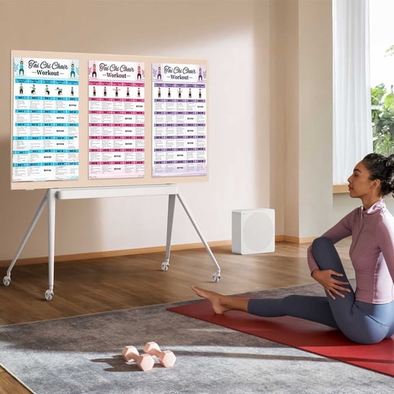 Tai Chi Chair Workout Posters 6 Laminated Exercise Charts for Seniors Illustrated Seated Moves for Balance and Joint Pain Relief