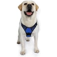 thumbnail image 2 of Rabbitgoo Arnés para Perros, Arnés para Mascotas sin Tirones con 2 Clips para Correa, Chaleco para Perros Acolchado Suave y Ajustable, Chaleco Oxford Reflectante para Mascotas sin asfixia con asa de f, 2 of 4