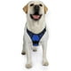 thumbnail image 2 of Rabbitgoo Arnés para Perros, Arnés para Mascotas sin Tirones con 2 Clips para Correa, Chaleco para Perros Acolchado Suave y Ajustable, Chaleco Oxford Reflectante para Mascotas sin asfixia con asa de f, 2 of 4