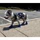 thumbnail image 2 of Botas para perros, protectores de patas, zapatos antideslizantes para perros. Estas cómodas botas para perros con suelas suaves cuentan con correas reflectantes (5, azul)., 2 of 5