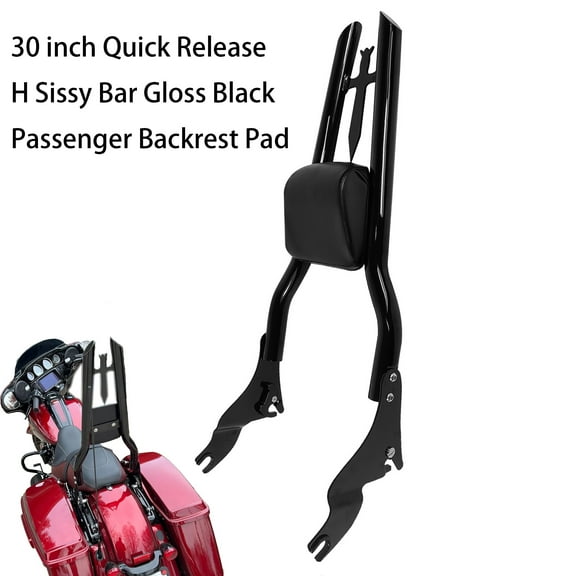 Fjpacemt 30" Sissy Bar Detachable Backrest for Motorcycle HD Touring Road King Electra Glide 2009-24
