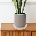 thumbnail image 4 of unbranded 10Ud Flower Pot Tray Plástico Transparente Para Uso Diario Con Recogedor De Eficaz, 4 of 8
