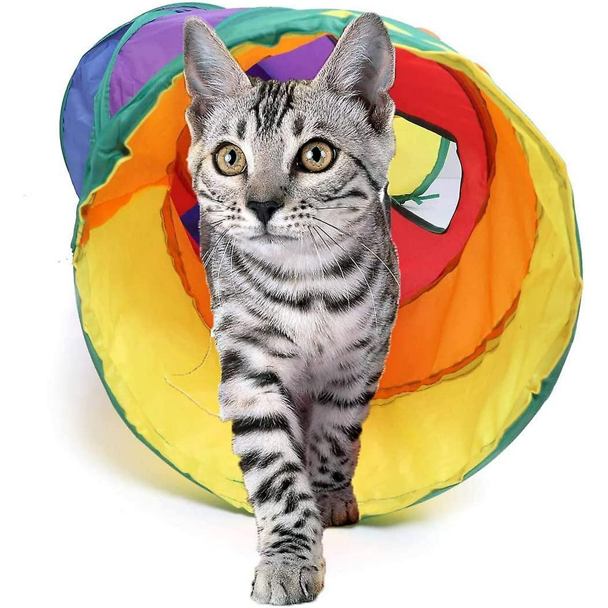 Big cat tunnel sales