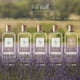thumbnail image 4 of Perfume RALPH LAUREN FRAGRANCES Polo Earth Eau de Parfum 40 ml, 4 of 6