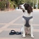 thumbnail image 2 of Arnés reflectante para perros pequeños y medianos, arnés de chaleco de malla transpirable, fácil de ajustar, chaleco de seguridad para mascotas Sincero  Hogar, 2 of 7
