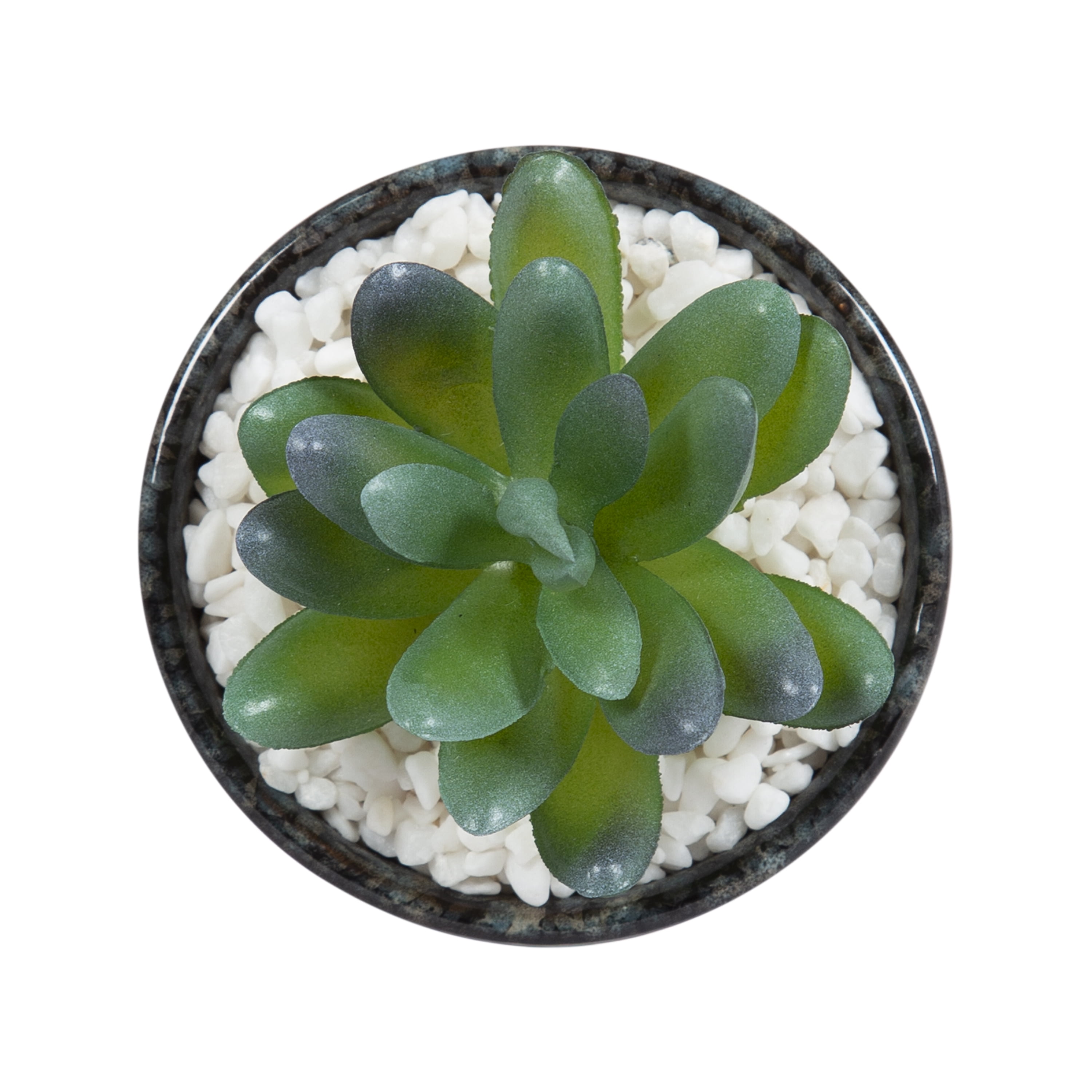 (4 pack) Mainstays 3.9" Artificial Crassula Ovata Succulent Plant in Teal Ceramic Pot