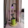 thumbnail image 4 of Full Spectrum Led Plant Grow Lights Table Desk Lamp 30W E27 for Home Indoor Plants Growing, 4 of 6