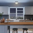 thumbnail image 3 of Hunter - Devon Park 3-light Brushed Nickel, Medium Size Flush Mount Light, Dimmable, Rustic Style, Round Shaped, for Bedrooms, Dining, Living Rooms - 19152, 3 of 7