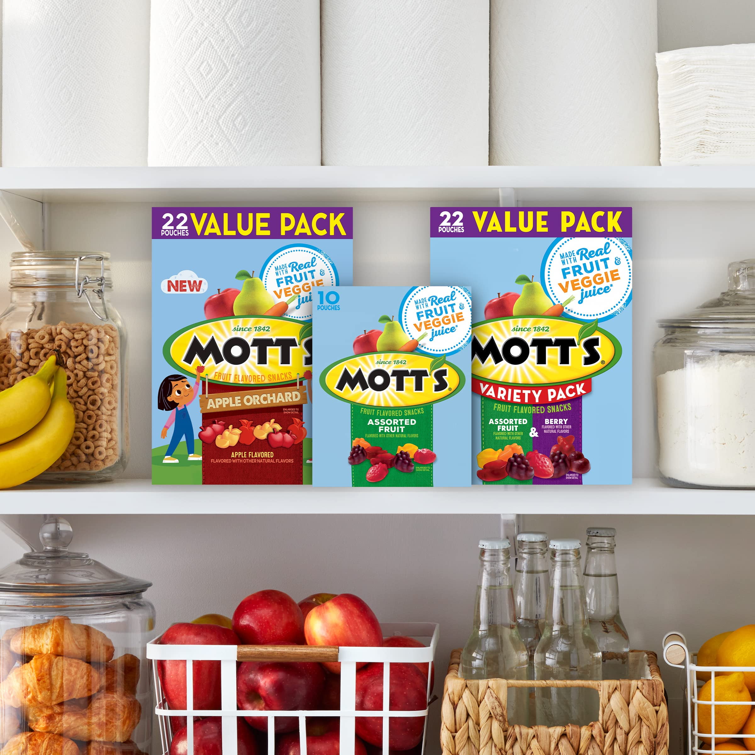 Fruit Flavored Snacks  Assorted Fruit  Pouches (Pack of 12)