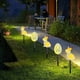 thumbnail image 5 of CaiYueKe Solar Easter Lights Outdoor Garden Decorations Bunny Egg Yard Stake Solar Powered Waterproof LED Holiday Patio Pathway Lawn Ornaments Decorative, 5 of 8