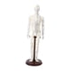 thumbnail image 3 of Modelo de acupuntura Escultura humana multiusos Figura de PVC de 20 pulgadas de altura con Hombre duro, 3 of 9