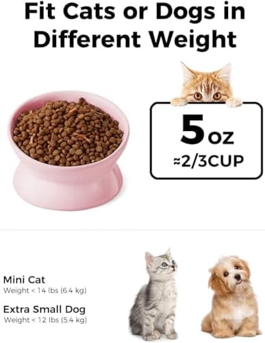 Elevated Cat Food Bowl, 5 Oz Ceramic Raised and Tilted Water Bowl, Anti Vomiting and Protect Pets' Spines Dishes for Small Dog, Fat Faced Cat, Kitten (Pink, 2 Pack)