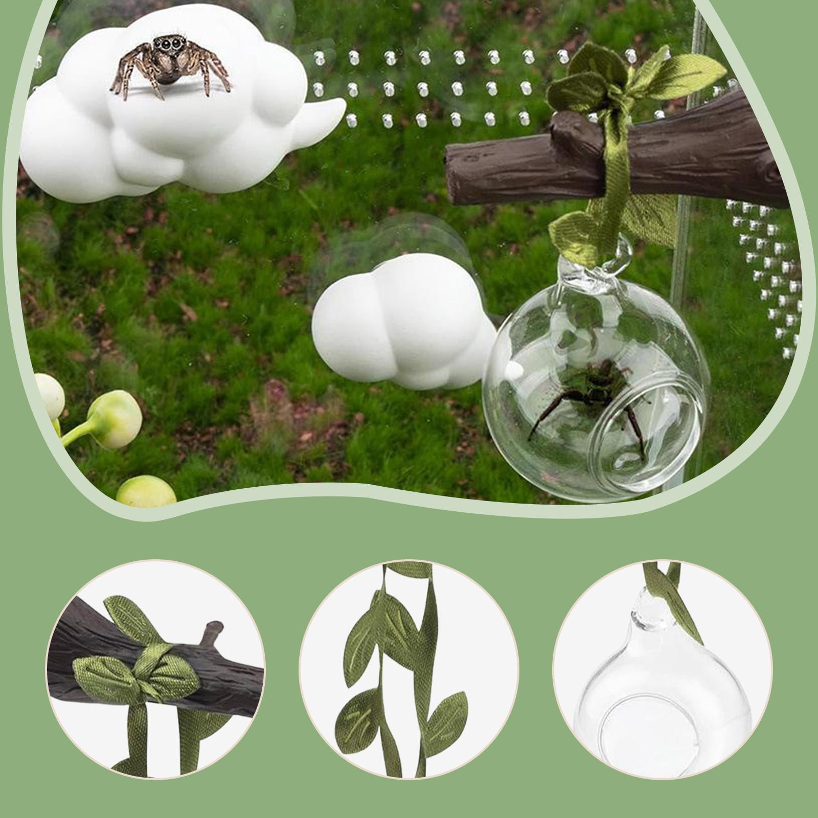 Jumping Spider Hideout Terrarium Ornament Glass Ball Decoration Plastic Material for Small Reptile Habitat Enclosure