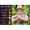 thumbnail image 2 of ⭐ 𝐁𝐄𝐒𝐓𝐒𝐄𝐋𝐋𝐄𝐑 6-4-6 Avocado Citrus Tree Plant Food for Outdoor/Indoor Gardening | Quick-Release Nitrogen Fertilizer | Orange, Lime, Avocado and Lemon Tree Fertilizer (5 Quarts), 2 of 7