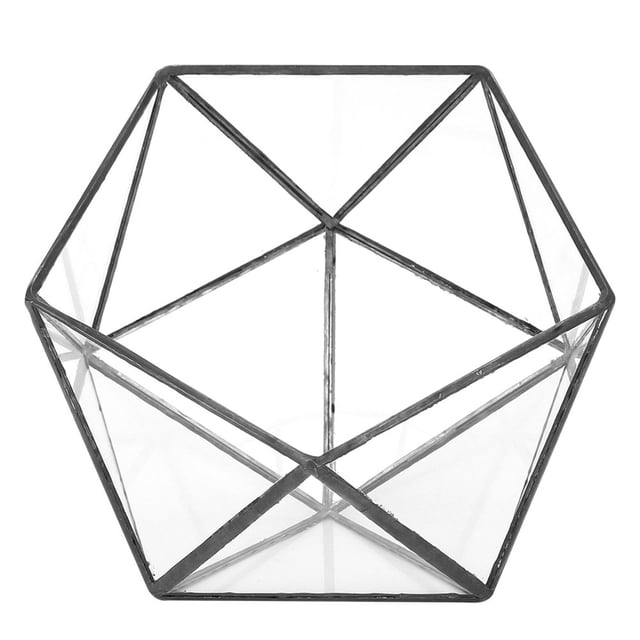 Macetero de vidrio geométrico único, decoración paisajística para plantas suculentas, musgo y helechos