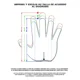 thumbnail image 3 of Guantes De Portero Buffon Spider Básico Infantil Para Niño, 3 of 3