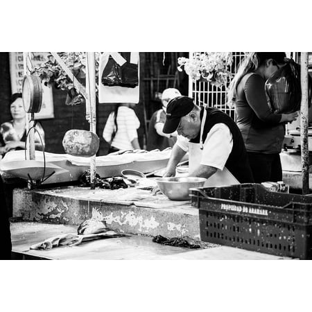 - LAMINATED POSTER Market Fish Market Cancer Mussels Fish Poster Print 24 x 36