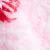 DELICATE PINK (Strawberries)