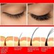 thumbnail image 5 of Suero de crecimiento rápido de pestañas, 7 días, potenciador Natural de pestañas, más largas, más gruesas, productos de tratamiento, maquillaje para el cuidado de los ojos, 5 of 5