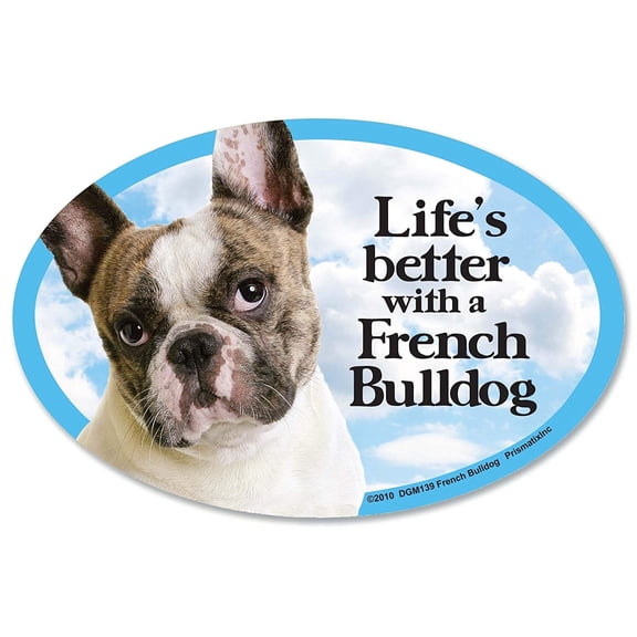 Prismatix French Bulldog Oval Dog Magnet – 6 x 4 in, Full Color