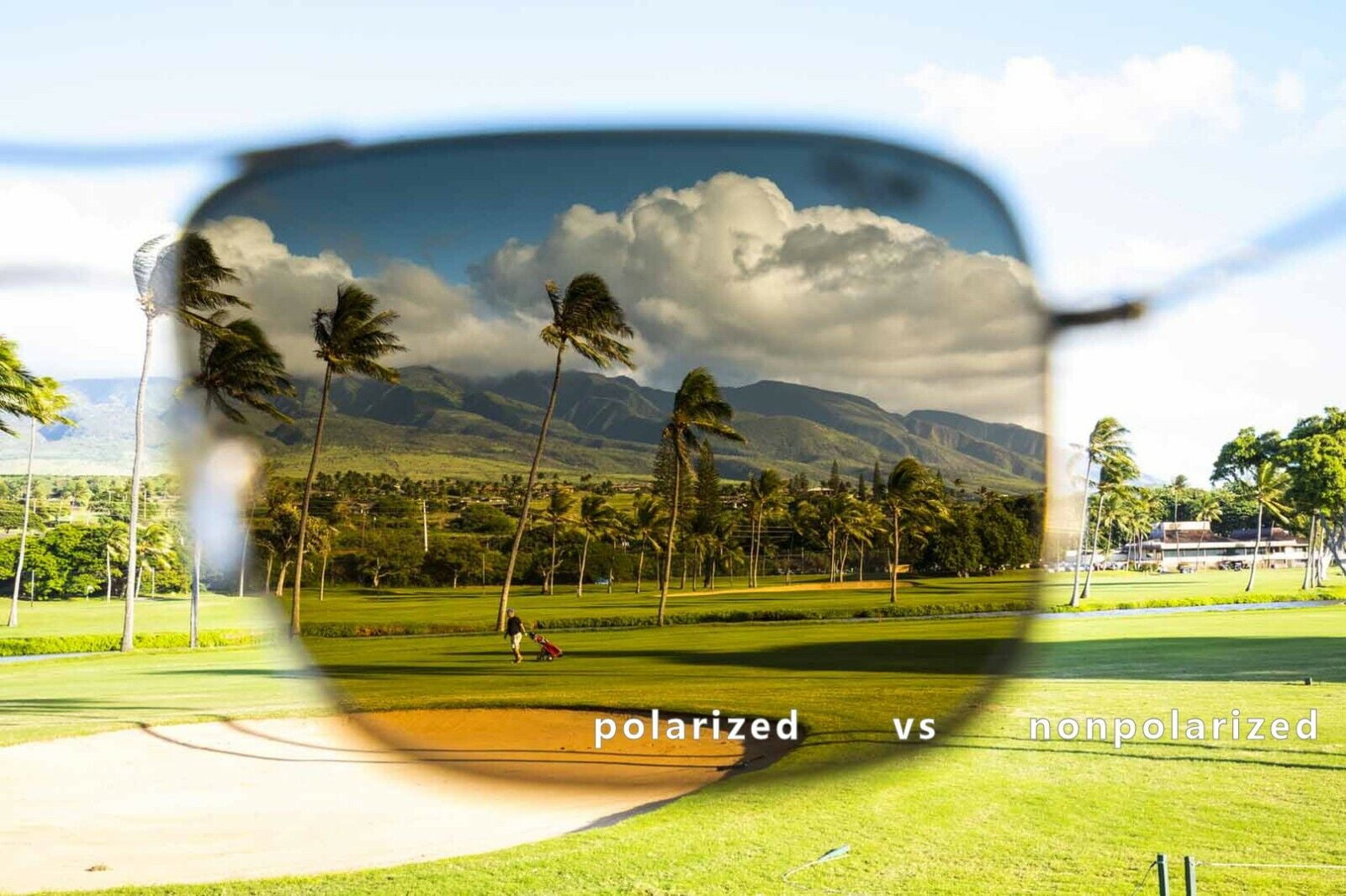 Polarized vs non deals polarized sunglasses for golf