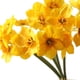 thumbnail image 4 of Guirnalda para la Boda,Ramo Amarillo de Flores de Narcisos Artificiales,Corona de Bricolaje para la Decoración de Boda de la Sala de Estar,Plantas para la Habitación, 4 of 6