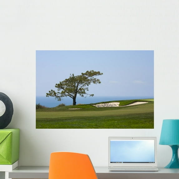 From Torrey Pines Golf Wall Mural Decal Sticker, Wallmonkeys Peel & Stick Vinyl Graphic (24 in W x 16 in H)
