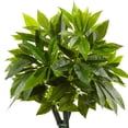 thumbnail image 2 of Nearly Natural 5? Money Artificial Tree in Black Square Planter, 2 of 5