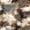 Brown, variant on Homewish Pink Gradient Leopard 7 Pieces Full Size Bedding Sets,Aesthetic Artwork Full Size Bed in a Bag,Black Reversible