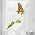 thumbnail image 1 of Swallowtail Tapestry, Caterpillar Pupae Butterfly Life's Stages Inspirational Nature, Fabric Wall Hanging Decor for Bedroom Living Room Dorm, 5 Sizes, Pale Brown Green, by Ambesonne, 1 of 1