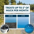 thumbnail image 7 of Airmax MuckAway Total Lake Muck Reducer Pellets, Pond Sludge Remover, 36 lbs, 7 of 7